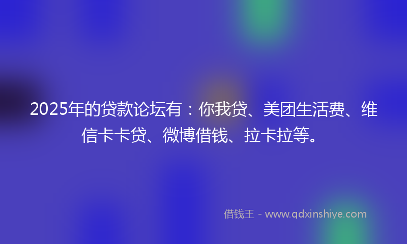 2025年的贷款论坛有：你我贷、美团生活费、维信卡卡贷、微博借钱、拉卡拉等。