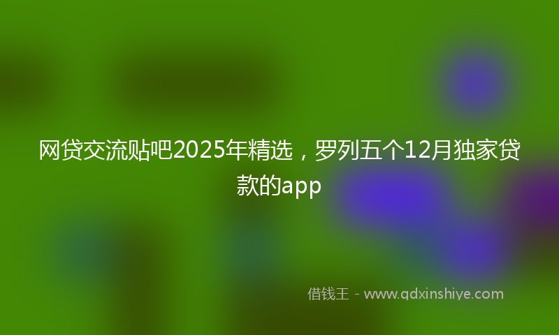 网贷交流贴吧2025年精选，罗列五个12月独家贷款的app