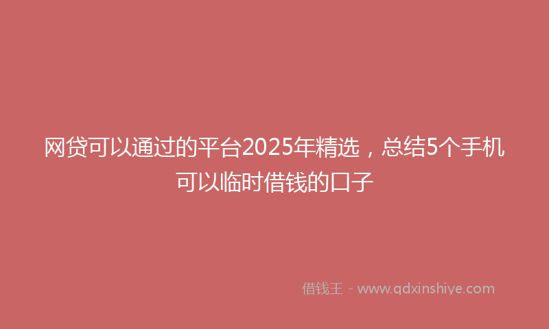 网贷可以通过的平台2025年精选，总结5个手机可以临时借钱的口子
