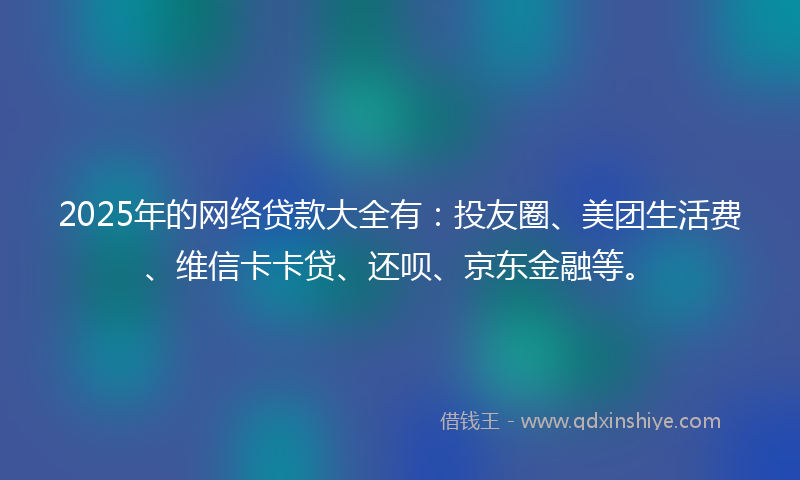 2025年的网络贷款大全有：投友圈、美团生活费、维信卡卡贷、还呗、京东金融等。