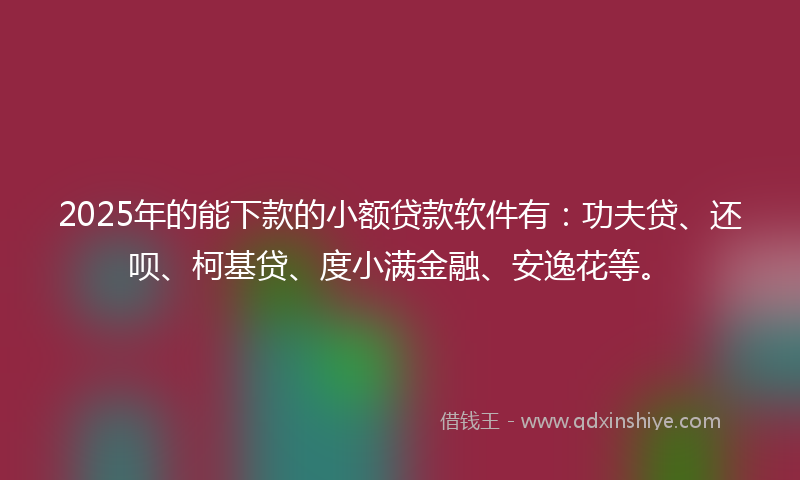 2025年的能下款的小额贷款软件有：功夫贷、还呗、柯基贷、度小满金融、安逸花等。