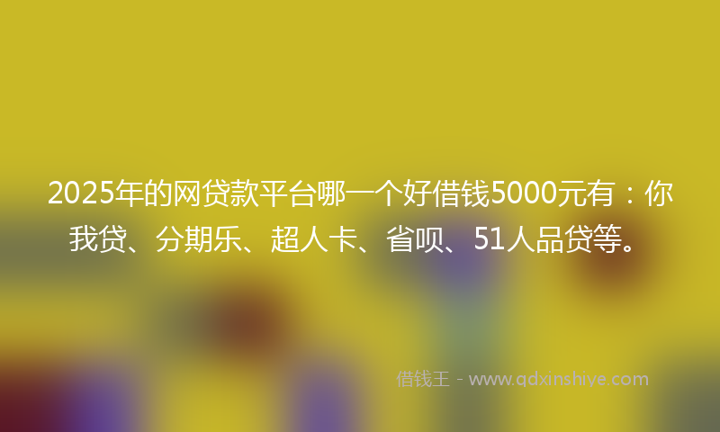 2025年的网贷款平台哪一个好借钱5000元有：你我贷、分期乐、超人卡、省呗、51人品贷等。