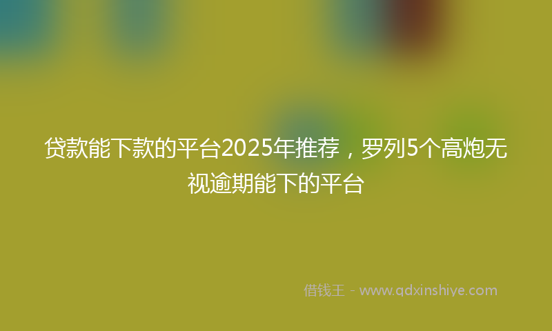 贷款能下款的平台2025年推荐，罗列5个高炮无视逾期能下的平台