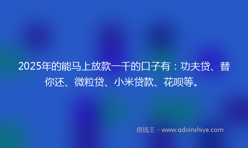 2025年的能马上放款一千的口子有：功夫贷、替你还、微粒贷、小米贷款、花呗等。
