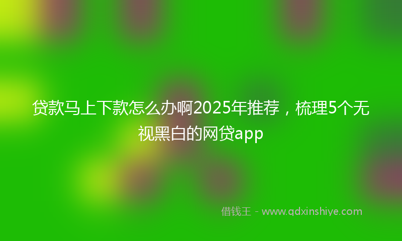 贷款马上下款怎么办啊2025年推荐，梳理5个无视黑白的网贷app