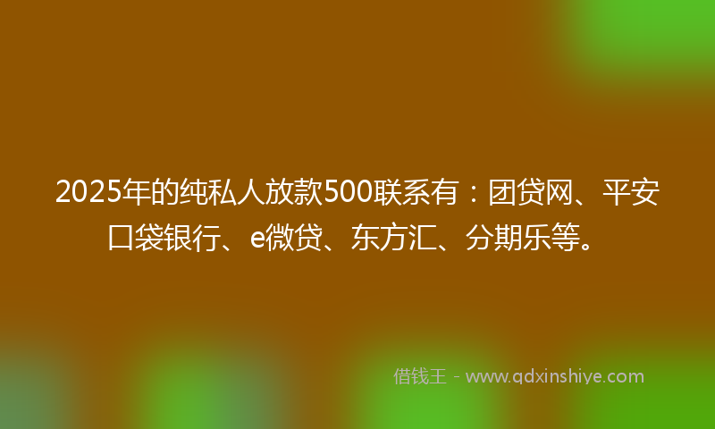 2025年的纯私人放款500联系有：团贷网、平安口袋银行、e微贷、东方汇、分期乐等。