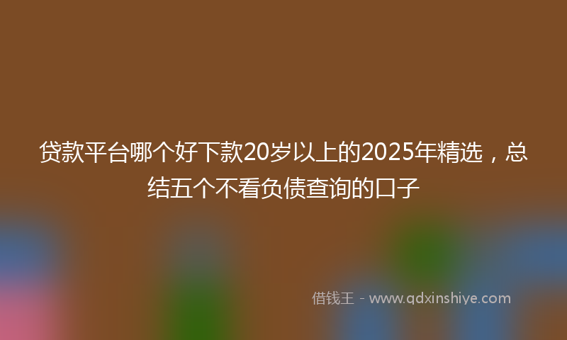 贷款平台哪个好下款20岁以上的2025年精选，总结五个不看负债查询的口子