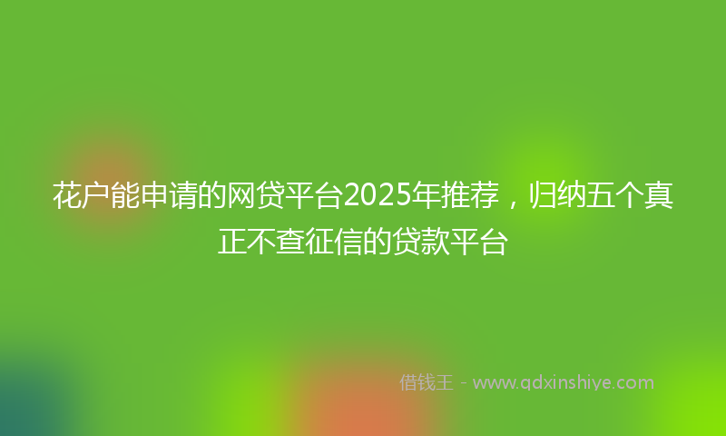 花户能申请的网贷平台2025年推荐,归纳五个真正不查征信的贷款平台