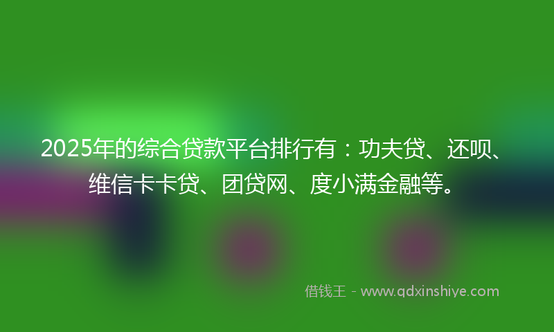 2025年的综合贷款平台排行有：功夫贷、还呗、维信卡卡贷、团贷网、度小满金融等。
