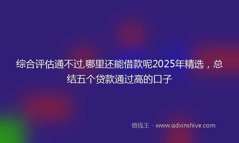 综合评估通不过,哪里还能借款呢2025年精选，总结五个贷款通过高的口子