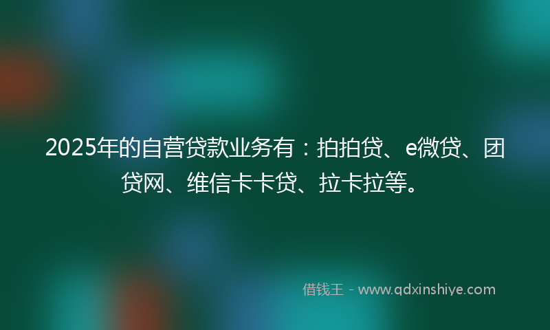 2025年的自营贷款业务有：拍拍贷、e微贷、团贷网、维信卡卡贷、拉卡拉等。