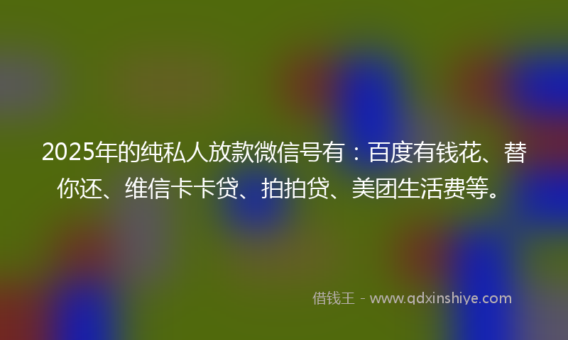 2025年的纯私人放款微信号有：百度有钱花、替你还、维信卡卡贷、拍拍贷、美团生活费等。