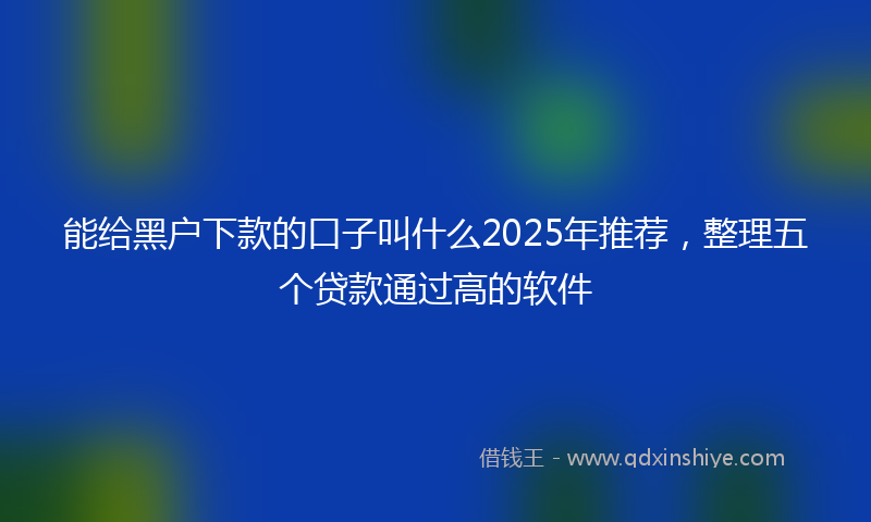 能给黑户下款的口子叫什么2025年推荐，整理五个贷款通过高的软件