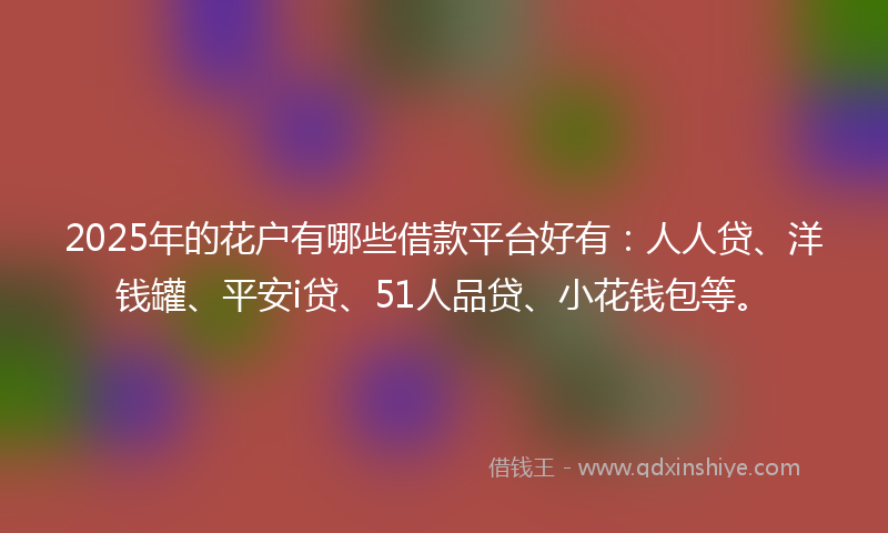 2025年的花户有哪些借款平台好有：人人贷、洋钱罐、平安i贷、51人品贷、小花钱包等。
