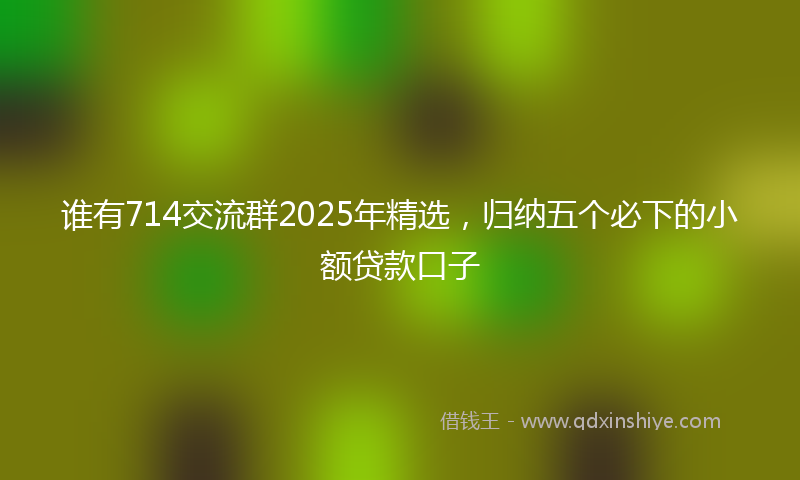 谁有714交流群2025年精选，归纳五个必下的小额贷款口子