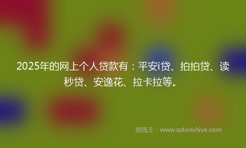 2025年的网上个人贷款有：平安i贷、拍拍贷、读秒贷、安逸花、拉卡拉等。
