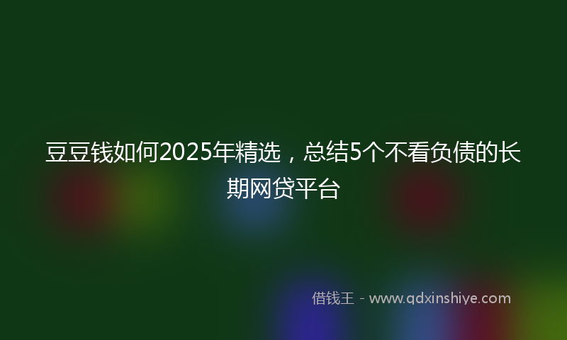 豆豆钱如何2025年精选，总结5个不看负债的长期网贷平台