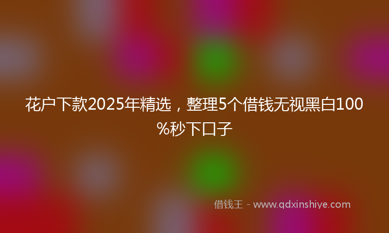 花户下款2025年精选，整理5个借钱无视黑白100%秒下口子