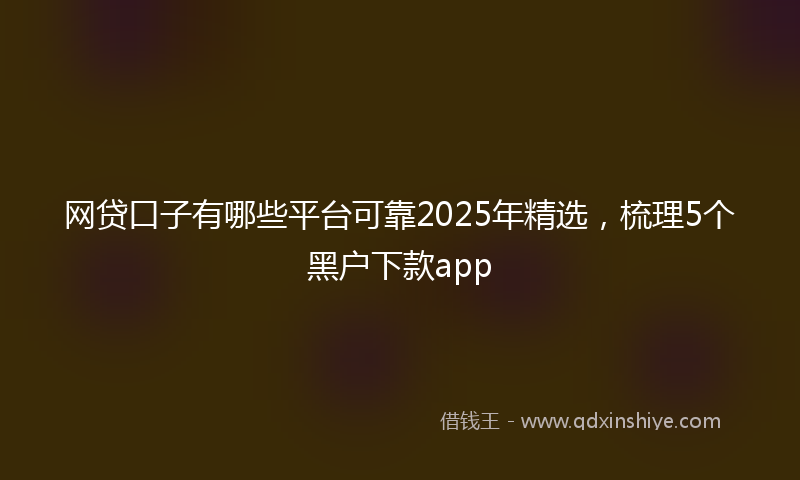 网贷口子有哪些平台可靠2025年精选，梳理5个黑户下款app
