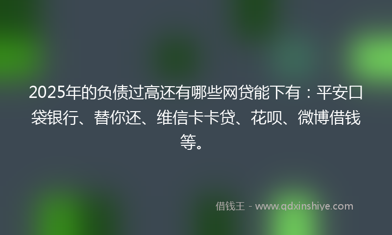 2025年的负债过高还有哪些网贷能下有：平安口袋银行、替你还、维信卡卡贷、花呗、微博借钱等。