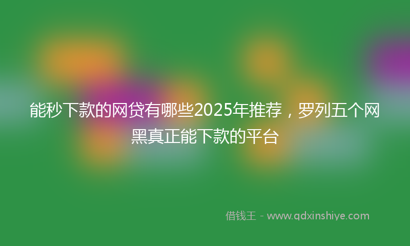 能秒下款的网贷有哪些2025年推荐，罗列五个网黑真正能下款的平台