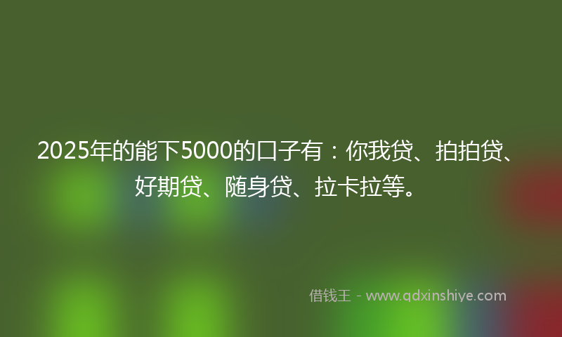 2025年的能下5000的口子有：你我贷、拍拍贷、好期贷、随身贷、拉卡拉等。