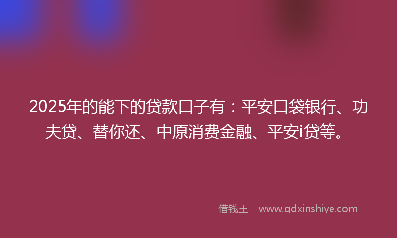 2025年的能下的贷款口子有：平安口袋银行、功夫贷、替你还、中原消费金融、平安i贷等。