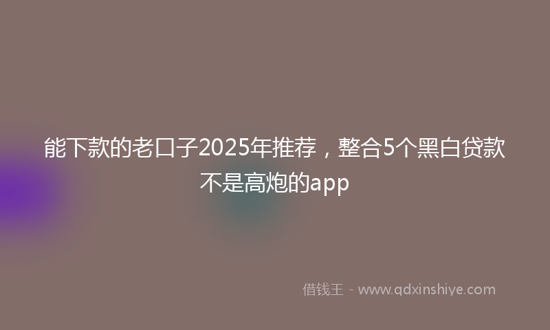 能下款的老口子2025年推荐，整合5个黑白贷款不是高炮的app