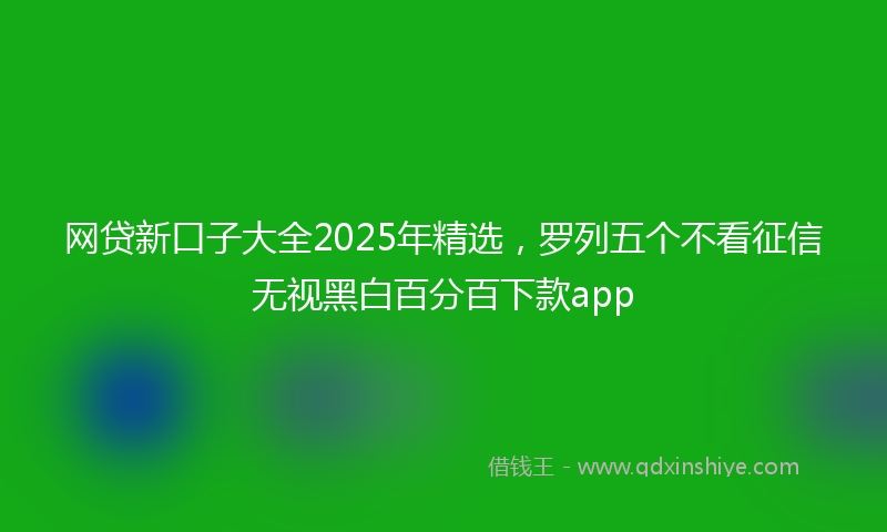 网贷新口子大全2025年精选，罗列五个不看征信无视黑白百分百下款app