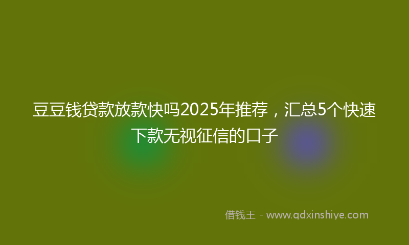 豆豆钱贷款放款快吗2025年推荐，汇总5个快速下款无视征信的口子