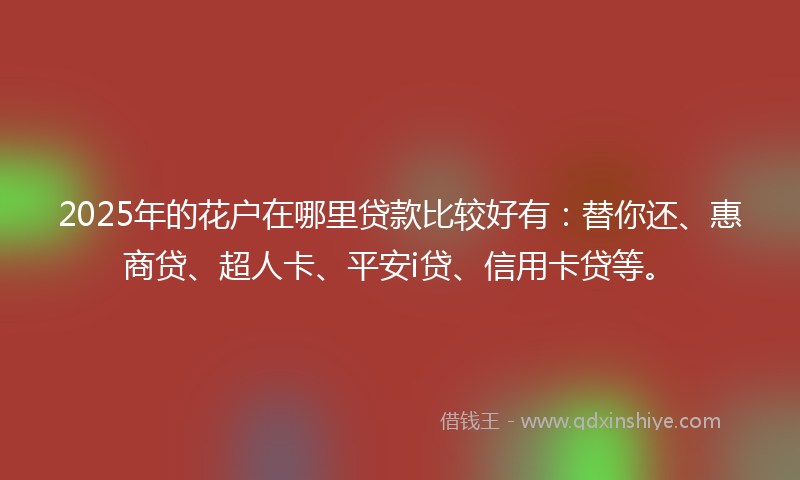 2025年的花户在哪里贷款比较好有：替你还、惠商贷、超人卡、平安i贷、信用卡贷等。