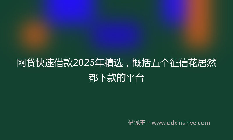 网贷快速借款2025年精选，概括五个征信花居然都下款的平台
