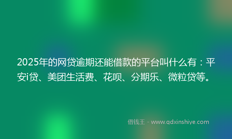 2025年的网贷逾期还能借款的平台叫什么有：平安i贷、美团生活费、花呗、分期乐、微粒贷等。