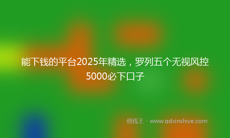 能下钱的平台2025年精选，罗列五个无视风控5000必下口子