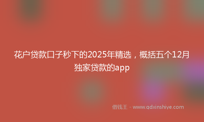 花户贷款口子秒下的2025年精选，概括五个12月独家贷款的app