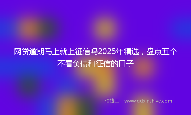 网贷逾期马上就上征信吗2025年精选，盘点五个不看负债和征信的口子