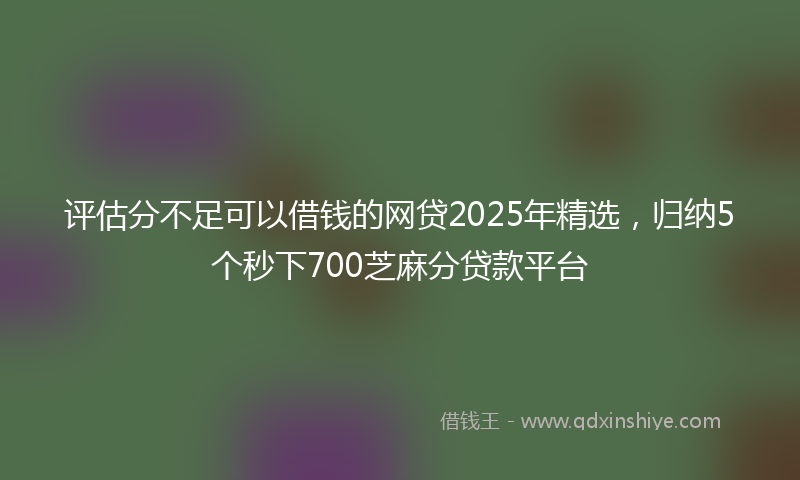 评估分不足可以借钱的网贷2025年精选，归纳5个秒下700芝麻分贷款平台