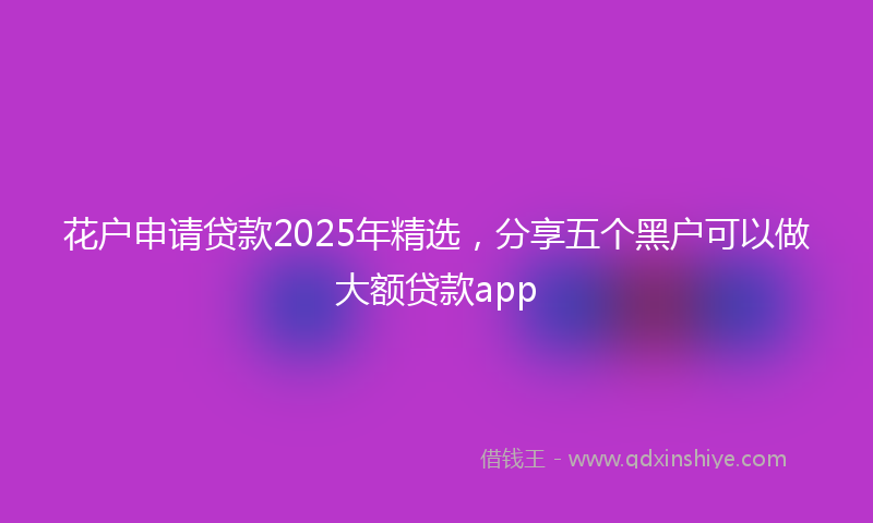花户申请贷款2025年精选，分享五个黑户可以做大额贷款app
