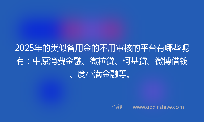 2025年的类似备用金的不用审核的平台有哪些呢有：中原消费金融、微粒贷、柯基贷、微博借钱、度小满金融等。