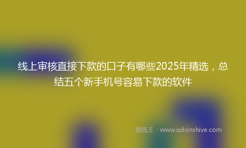 线上审核直接下款的口子有哪些2025年精选，总结五个新手机号容易下款的软件
