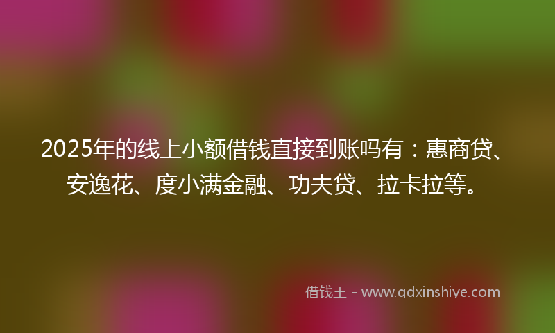 2025年的线上小额借钱直接到账吗有：惠商贷、安逸花、度小满金融、功夫贷、拉卡拉等。
