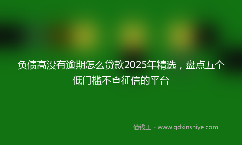 负债高没有逾期怎么贷款2025年精选，盘点五个低门槛不查征信的平台