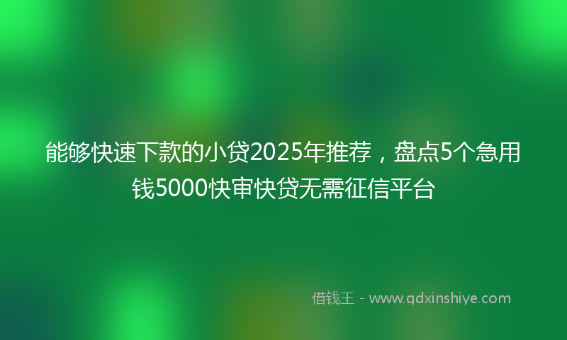 能够快速下款的小贷2025年推荐，盘点5个急用钱5000快审快贷无需征信平台