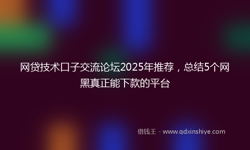 网贷技术口子交流论坛2025年推荐，总结5个网黑真正能下款的平台