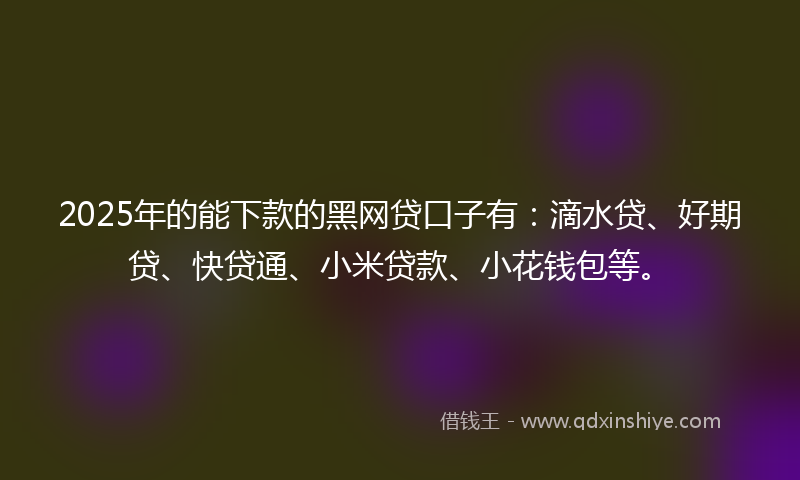 2025年的能下款的黑网贷口子有：滴水贷、好期贷、快贷通、小米贷款、小花钱包等。
