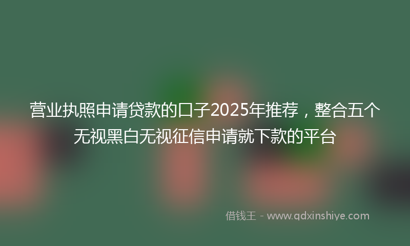 营业执照申请贷款的口子2025年推荐，整合五个无视黑白无视征信申请就下款的平台