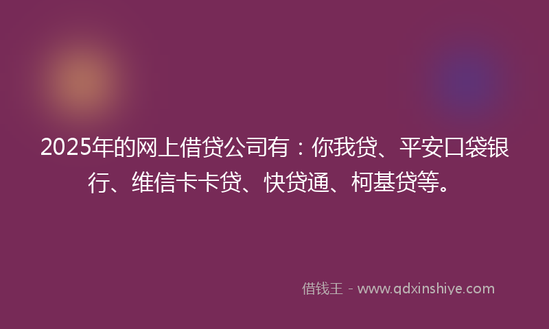 2025年的网上借贷公司有：你我贷、平安口袋银行、维信卡卡贷、快贷通、柯基贷等。