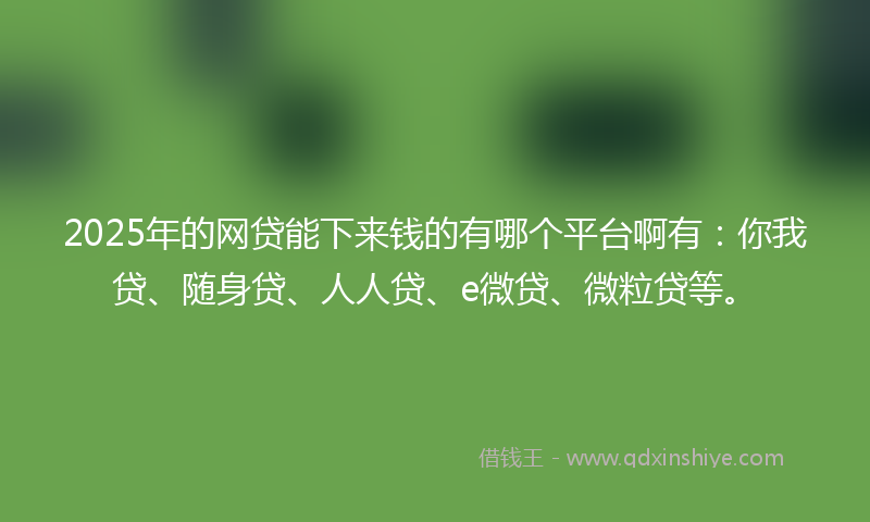 2025年的网贷能下来钱的有哪个平台啊有：你我贷、随身贷、人人贷、e微贷、微粒贷等。