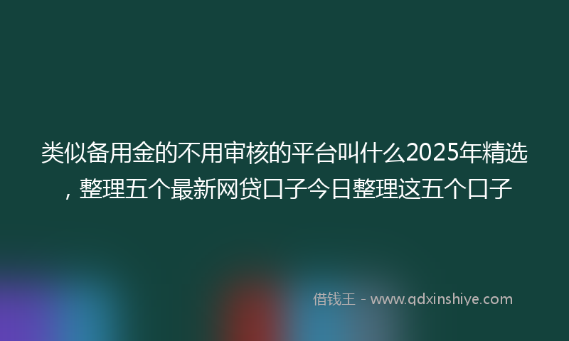 类似备用金的不用审核的平台叫什么2025年精选，整理五个最新网贷口子今日整理这五个口子