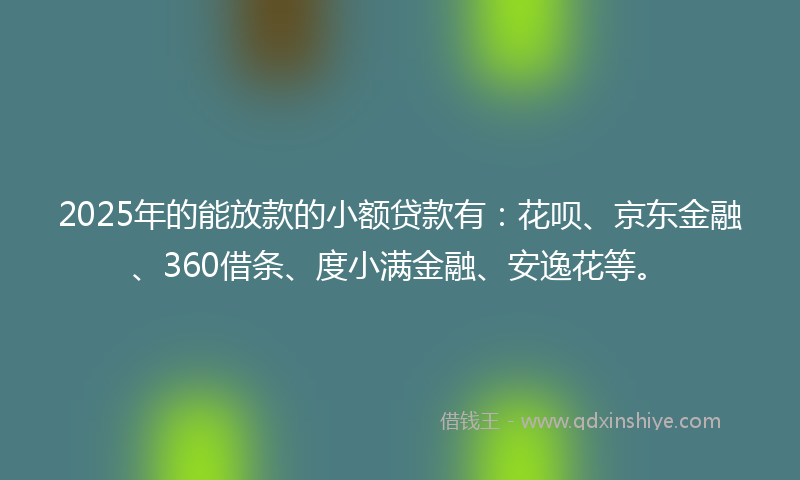 2025年的能放款的小额贷款有：花呗、京东金融、360借条、度小满金融、安逸花等。